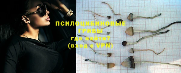 прущая мука Белоозёрский