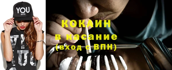 сатива Богданович