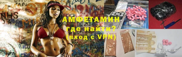 сатива Богданович