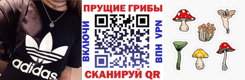 Галлюциногенные грибы Psilocybine cubensis Межгорье