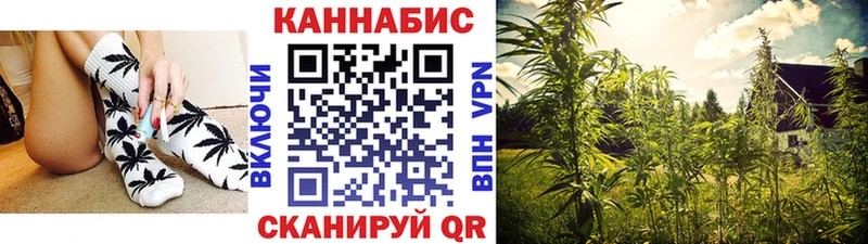Марихуана план  darknet как зайти  Межгорье 